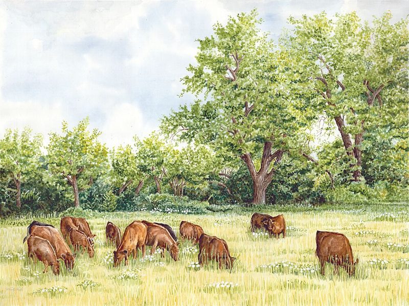 Tranquil Pastures I art print by Cindy Jacobs for $57.95 CAD