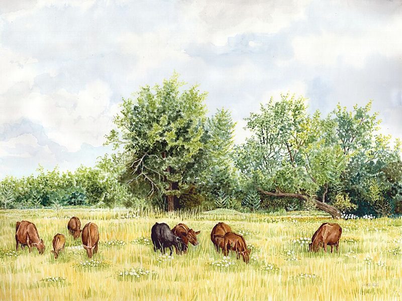 Tranquil Pastures II art print by Cindy Jacobs for $57.95 CAD