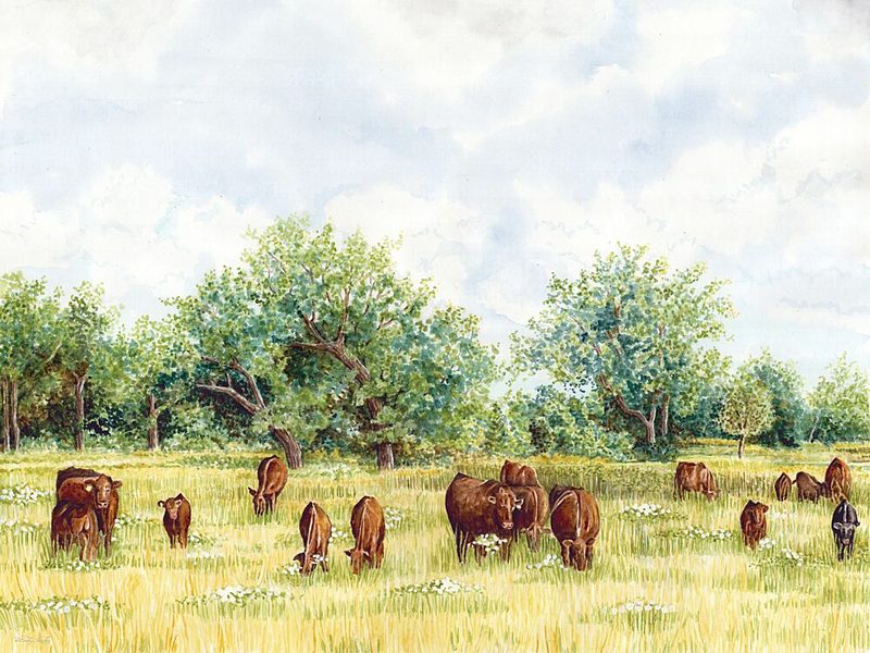 Tranquil Pastures III art print by Cindy Jacobs for $57.95 CAD