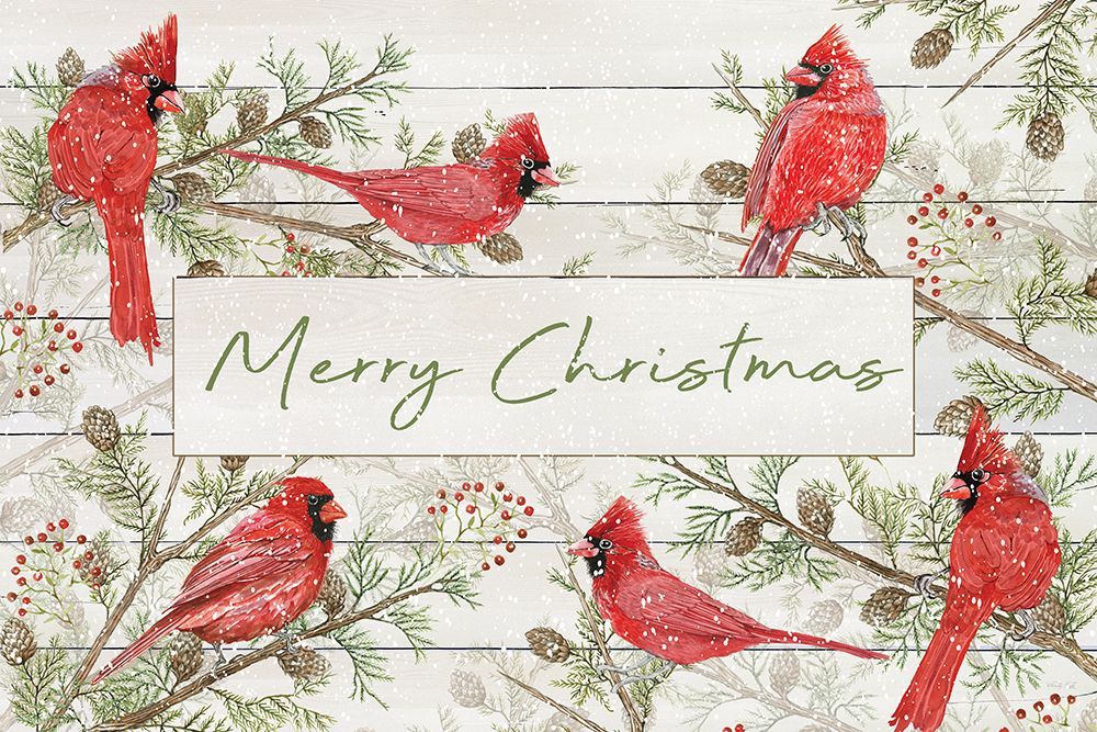 Merry Christmas Cardinals art print by Cindy Jacobs for $57.95 CAD