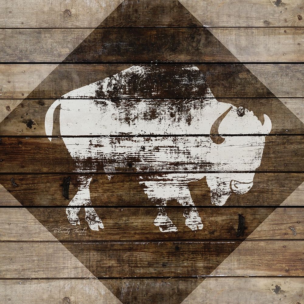Buffalo art print by Cindy Jacobs for $57.95 CAD