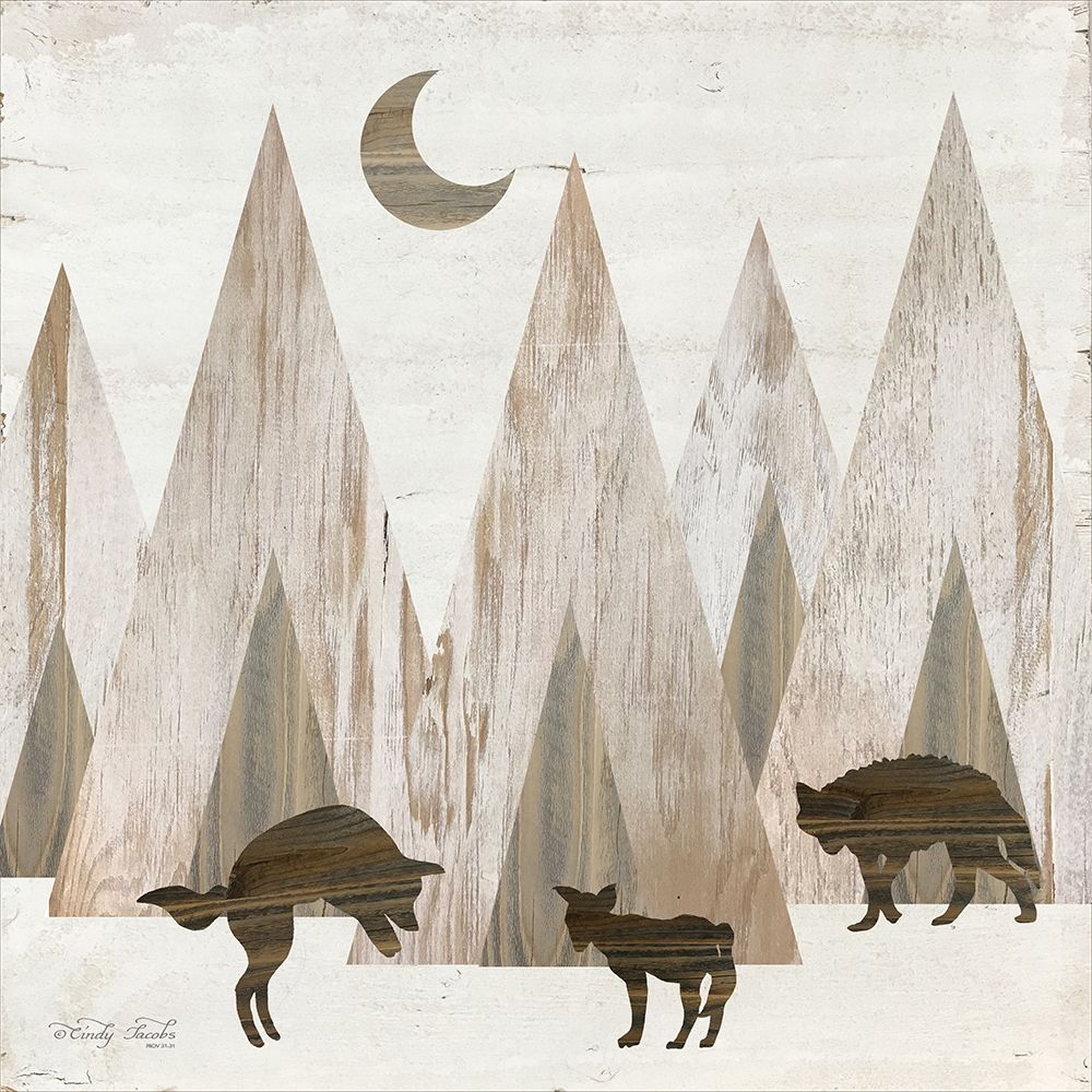 Night Play art print by Cindy Jacobs for $57.95 CAD