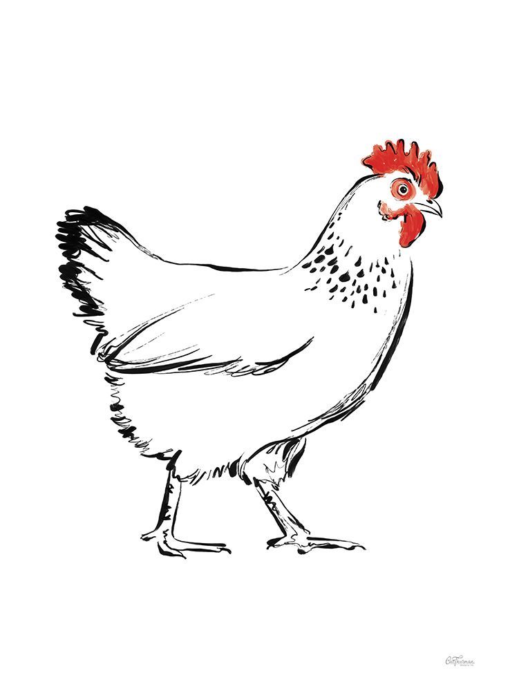 Black and White Chicken Sketch art print by Cat Thurman Designs for $57.95 CAD