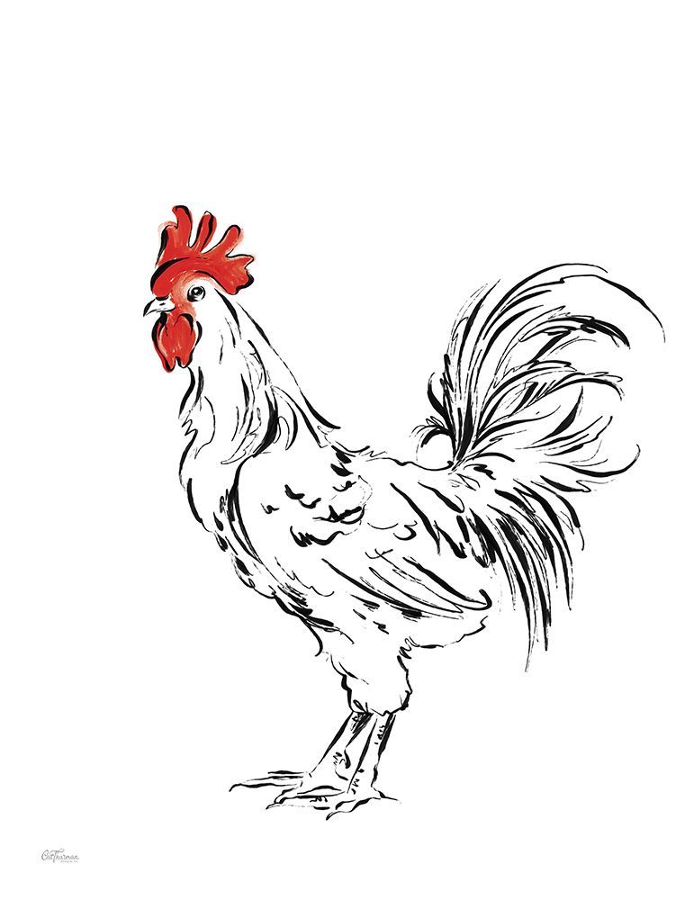 Black and White Rooster Sketch art print by Cat Thurman Designs for $57.95 CAD