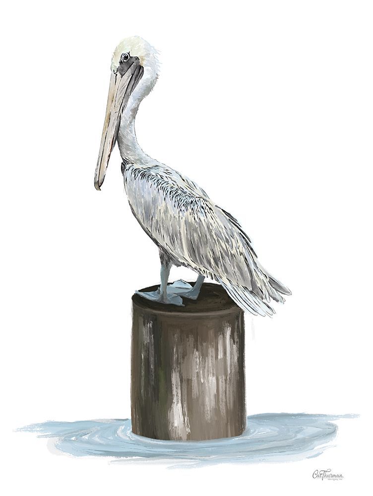 Pelican Side Eye art print by Cat Thurman Designs for $57.95 CAD