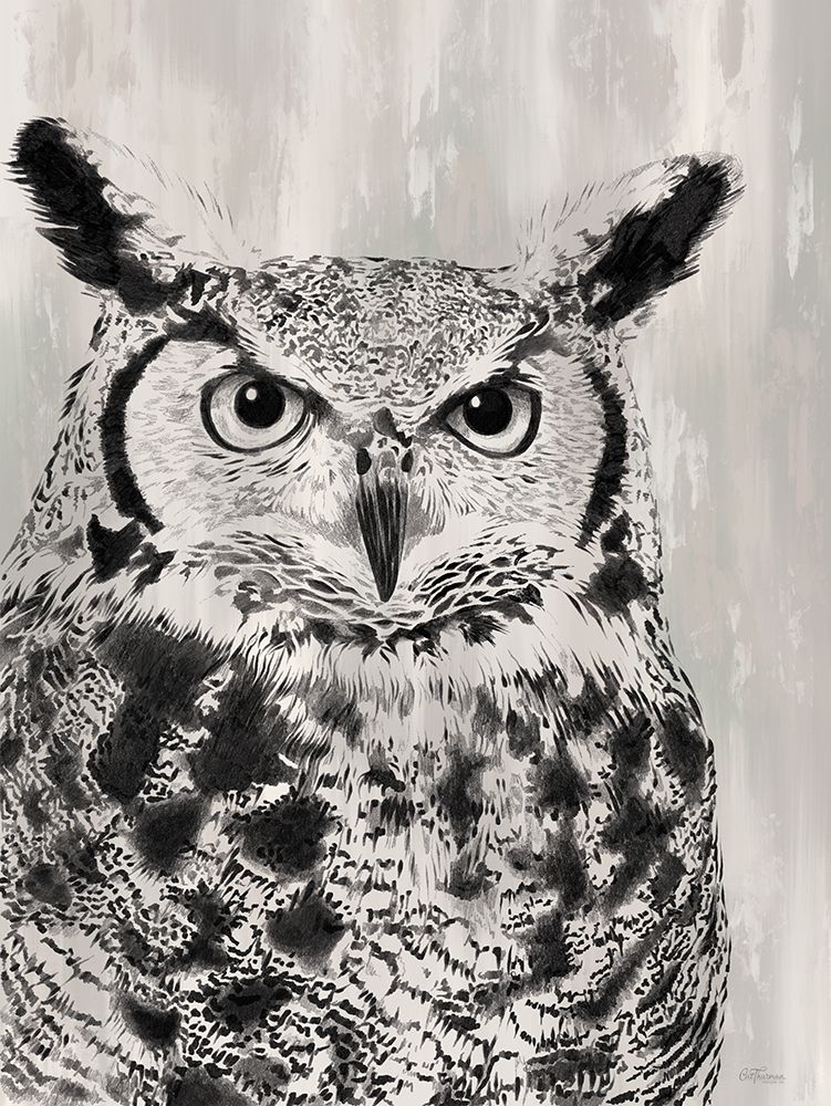 Charcoal Owl art print by Cat Thurman Designs for $57.95 CAD