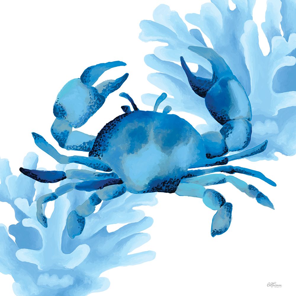 Reef Roamer 1 art print by Cat Thurman Designs for $57.95 CAD