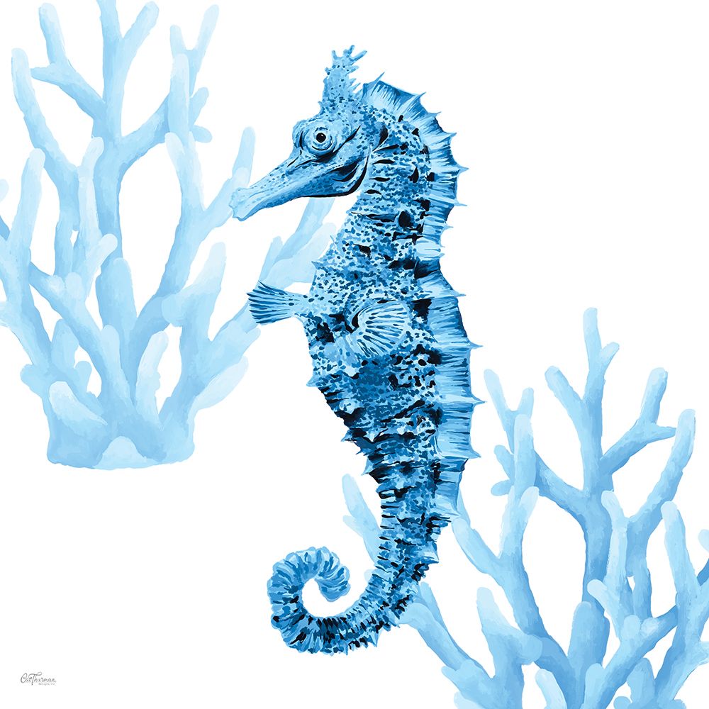 Reef Roamer 2 art print by Cat Thurman Designs for $57.95 CAD