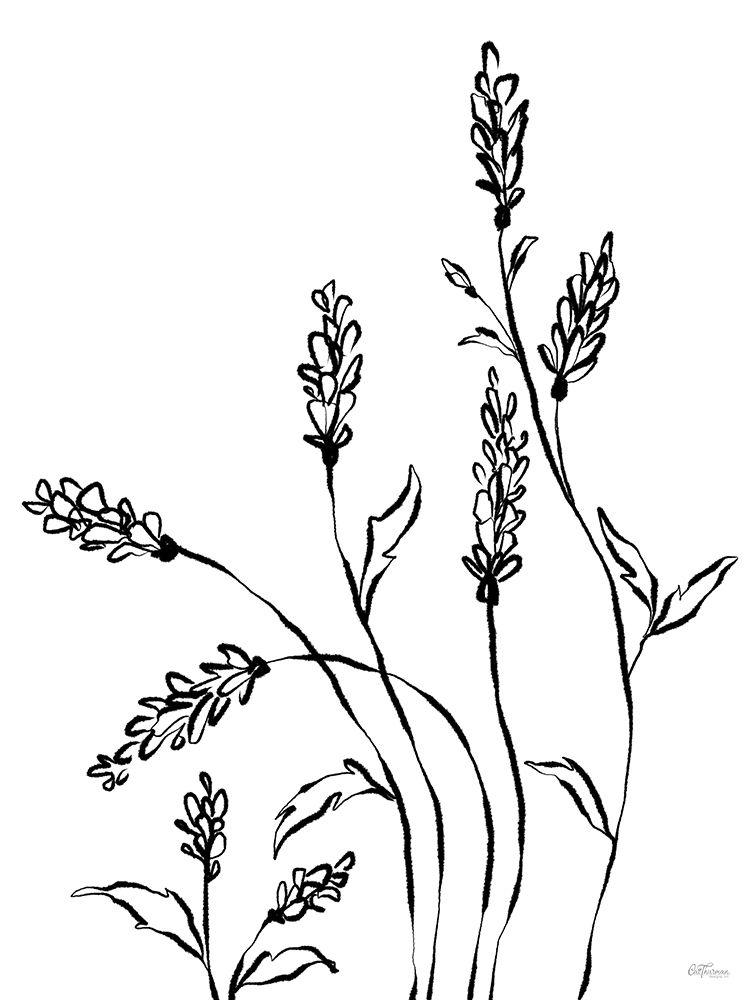 Simple Blooms II art print by Cat Thurman Designs for $57.95 CAD