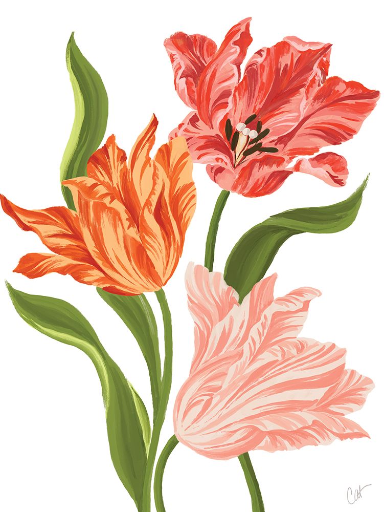 Whispering Tulips art print by Cat Thurman Designs for $57.95 CAD