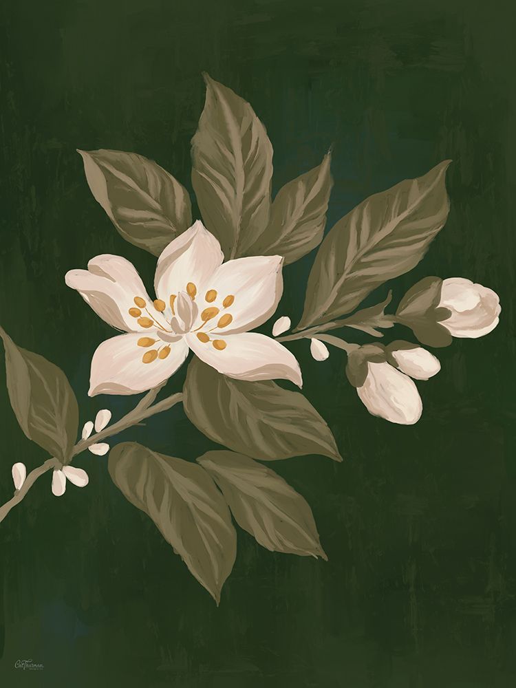 Fleeting Flower art print by Cat Thurman Designs for $57.95 CAD