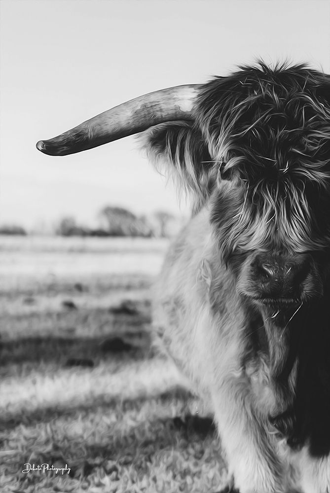 Black and White art print by Dakota Diener for $57.95 CAD