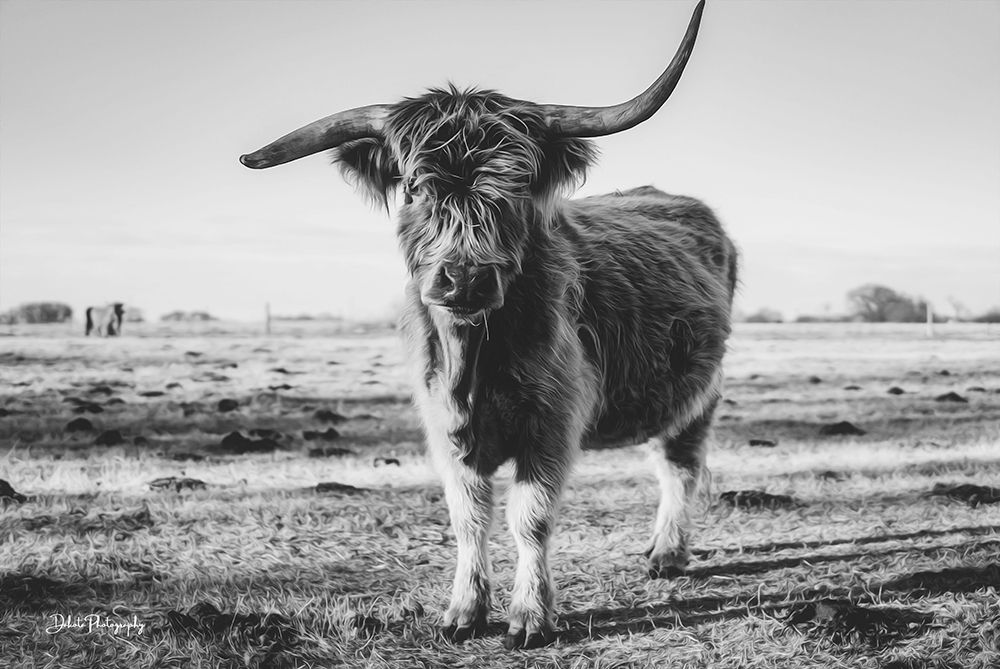 Black and White Side Shot art print by Dakota Diener for $57.95 CAD
