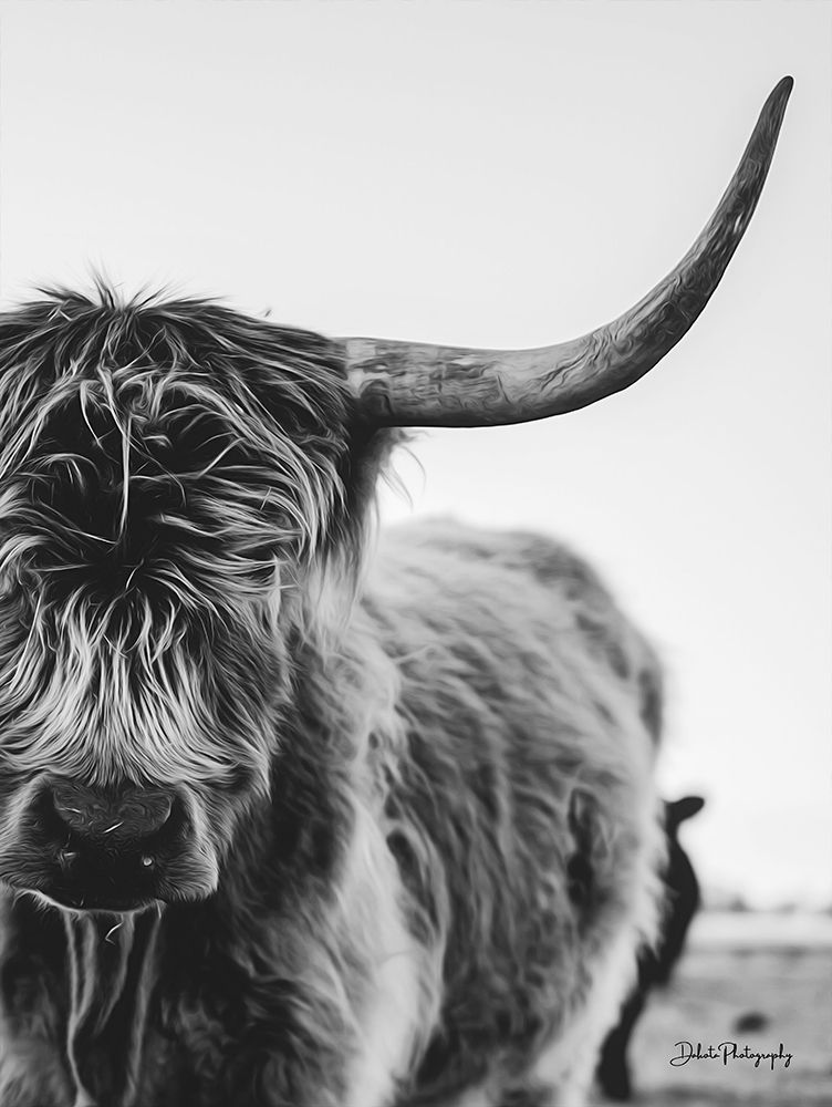 The Cow art print by Dakota Diener for $57.95 CAD