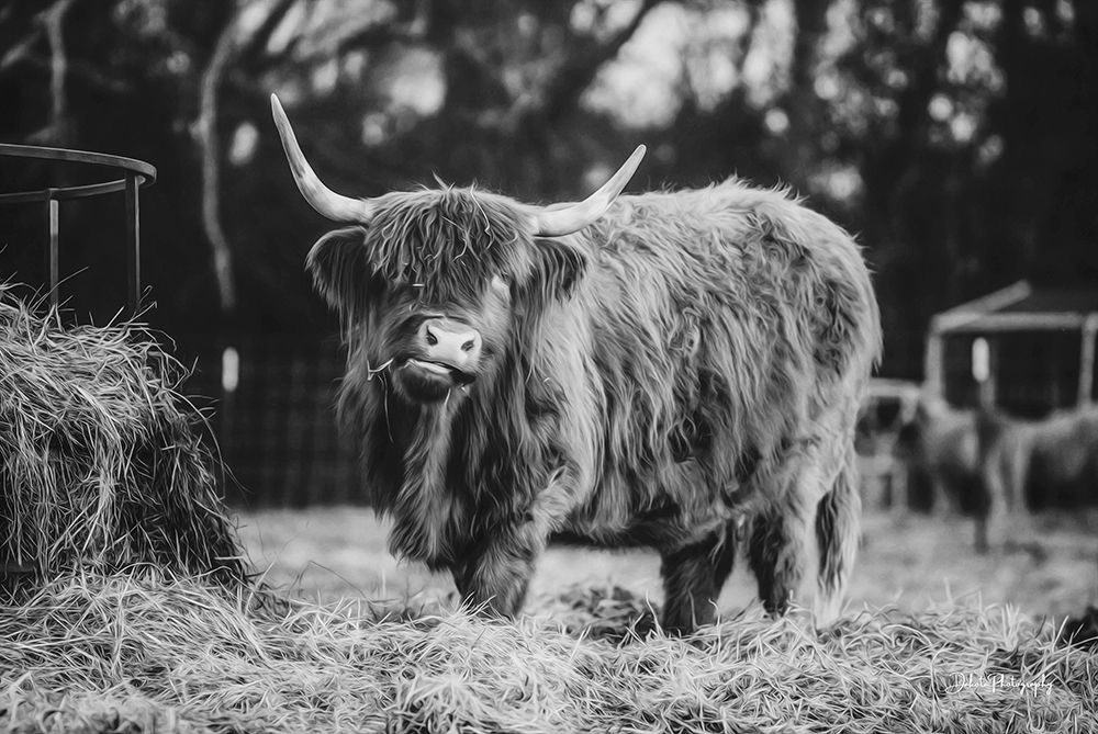 Hungry Cow I art print by Dakota Diener for $57.95 CAD
