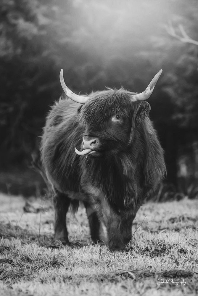 Silly Cow I art print by Dakota Diener for $57.95 CAD