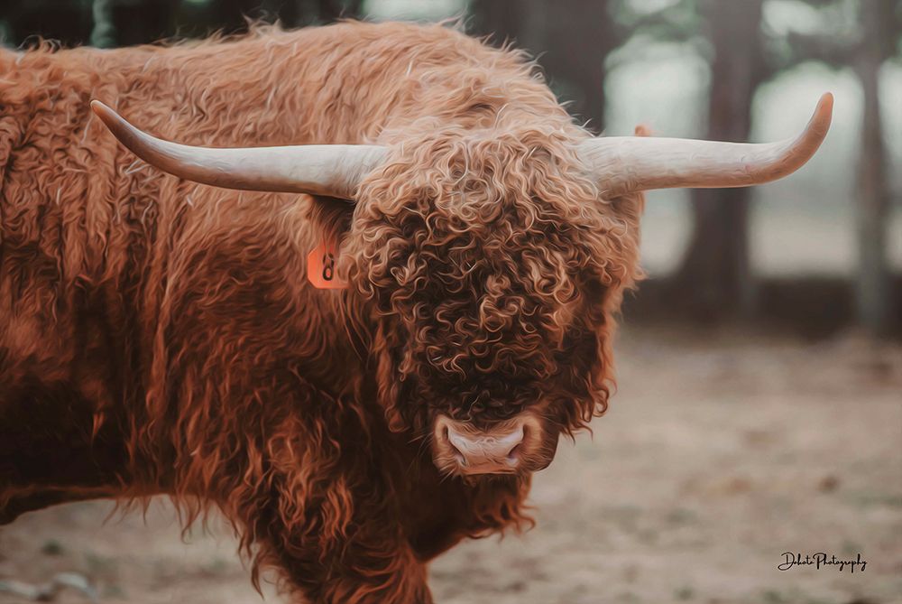 The Bull Look art print by Dakota Diener for $57.95 CAD