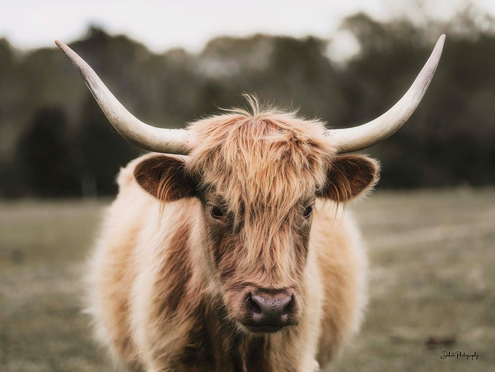Mellow Day on the Farm I art print by Dakota Diener for $57.95 CAD