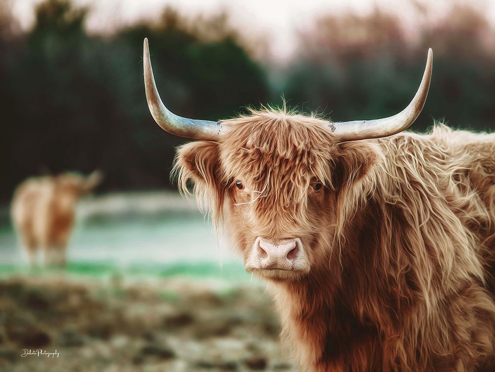 Mellow Day on the Farm II art print by Dakota Diener for $57.95 CAD