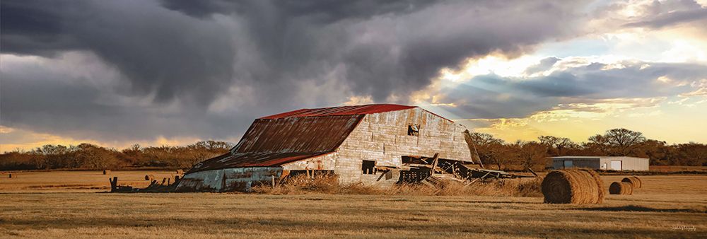 Storm is Coming art print by Dakota Diener for $57.95 CAD