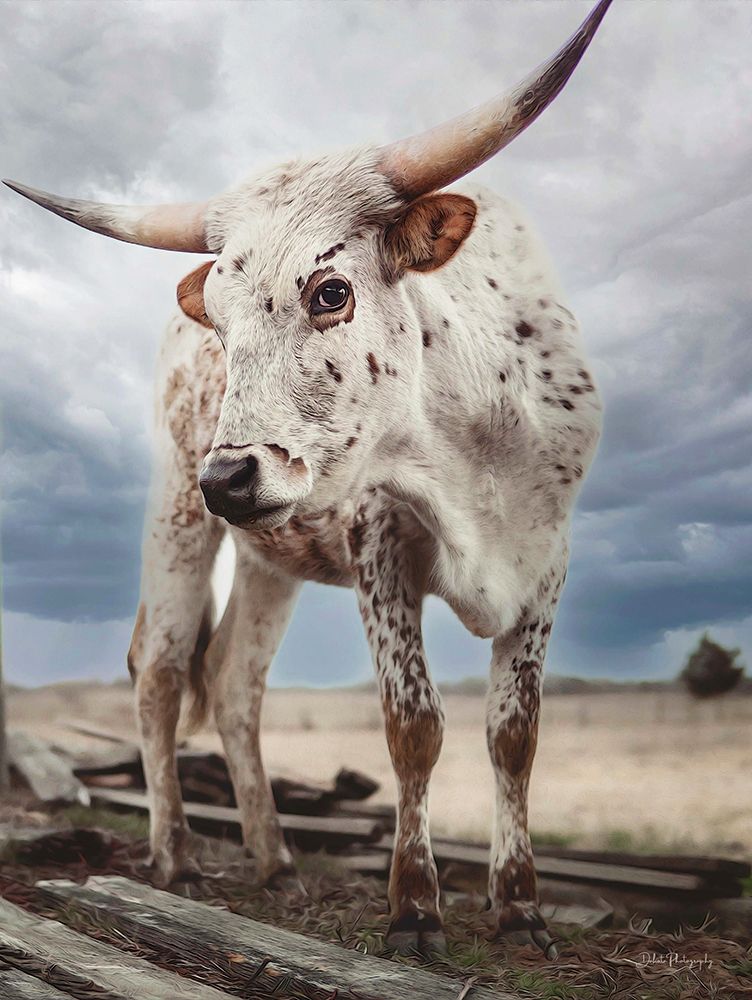 Cloudy Day Cow art print by Dakota Diener for $57.95 CAD