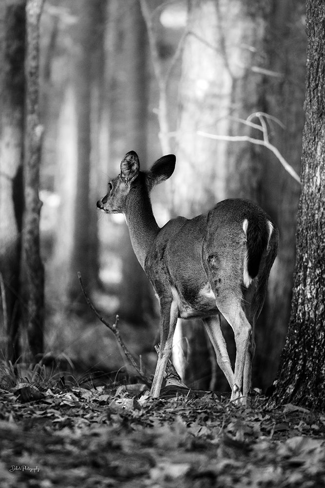 Walking Away art print by Dakota Diener for $57.95 CAD