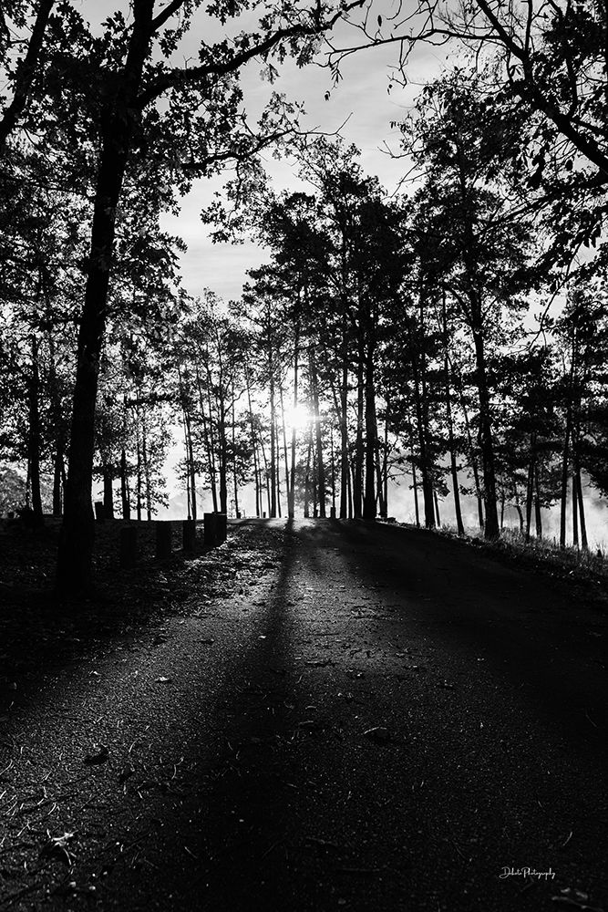 End of the Day art print by Dakota Diener for $57.95 CAD