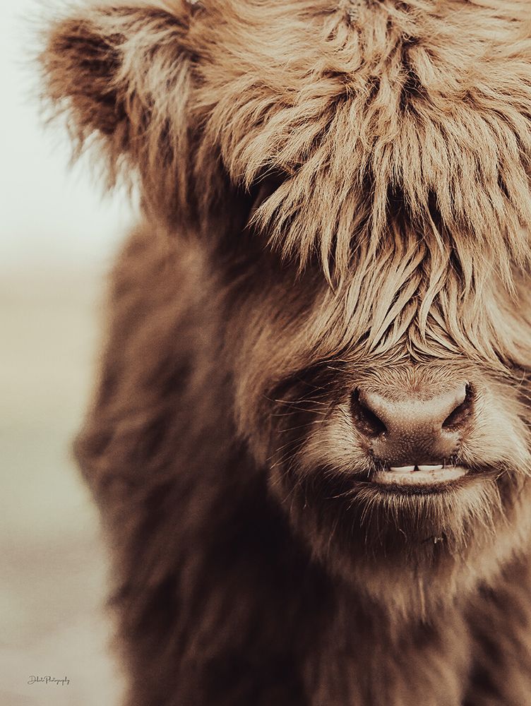 Little Zeke Close-up art print by Dakota Diener for $57.95 CAD