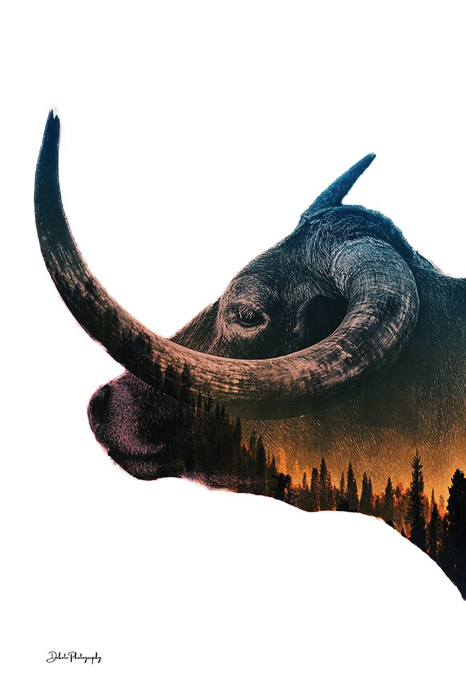 Wilderness Wonder II art print by Dakota Diener for $57.95 CAD
