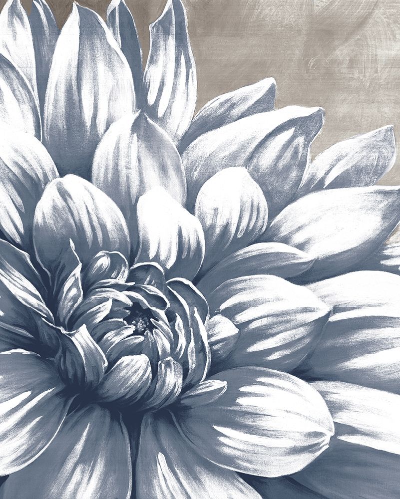 Charming Floral I art print by Dogwood Portfolio for $57.95 CAD
