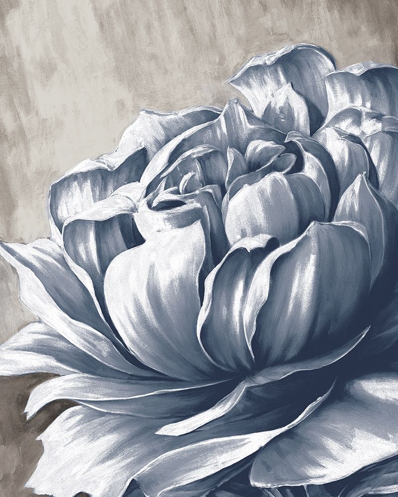 Charming Floral II art print by Dogwood Portfolio for $57.95 CAD