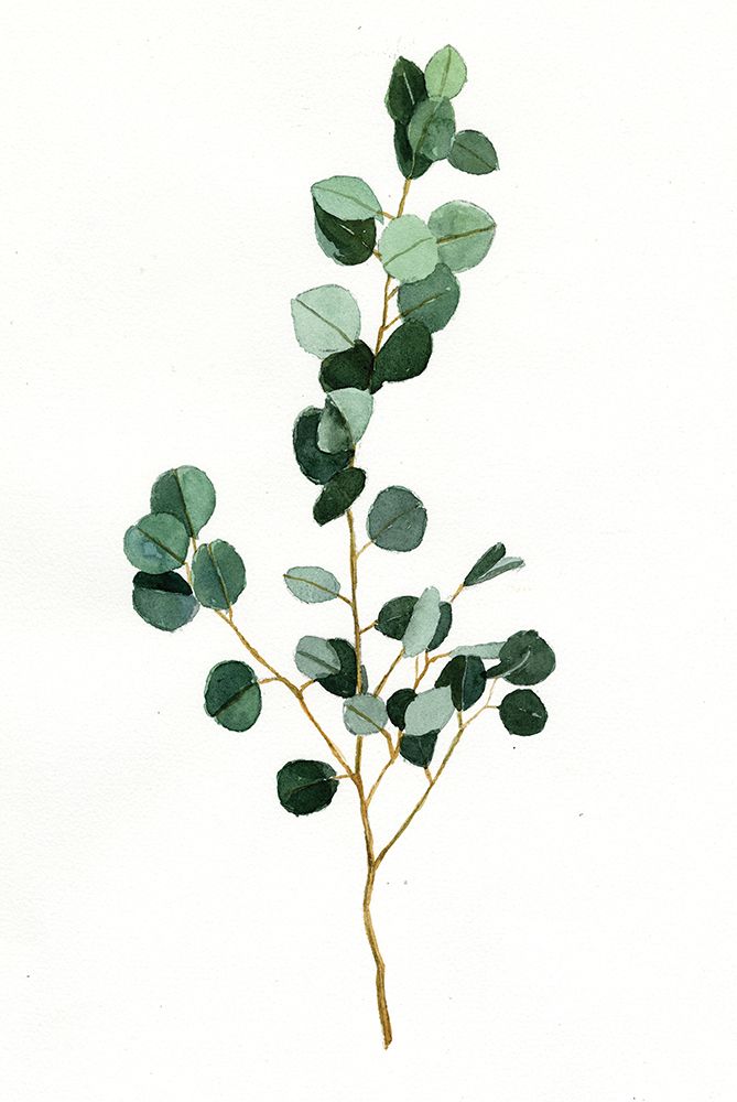 Branch with Leaves art print by Dogwood Portfolio for $57.95 CAD