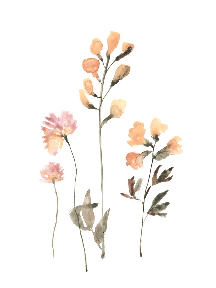 Sunny Botanical art print by Dogwood Portfolio for $57.95 CAD