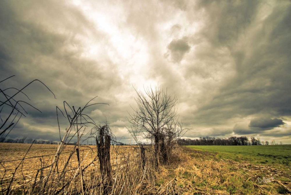 Storm Season II art print by Donnie Quillen for $57.95 CAD