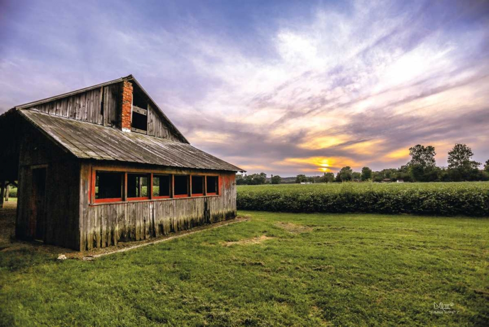 A Summer Sunset I art print by Donnie Quillen for $57.95 CAD