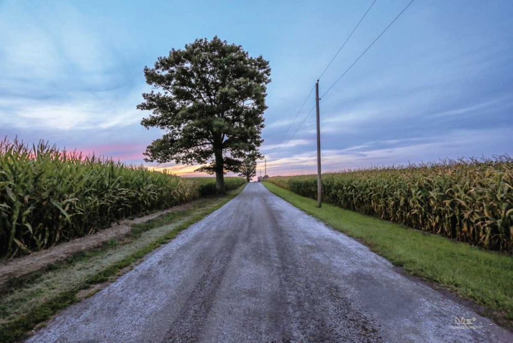 A Summer Sunset II art print by Donnie Quillen for $57.95 CAD