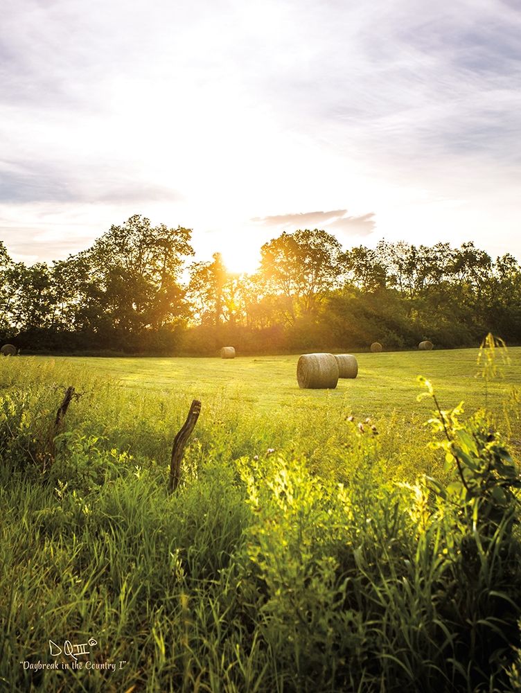 Daybreak in the Country I art print by Donnie Quillen for $57.95 CAD
