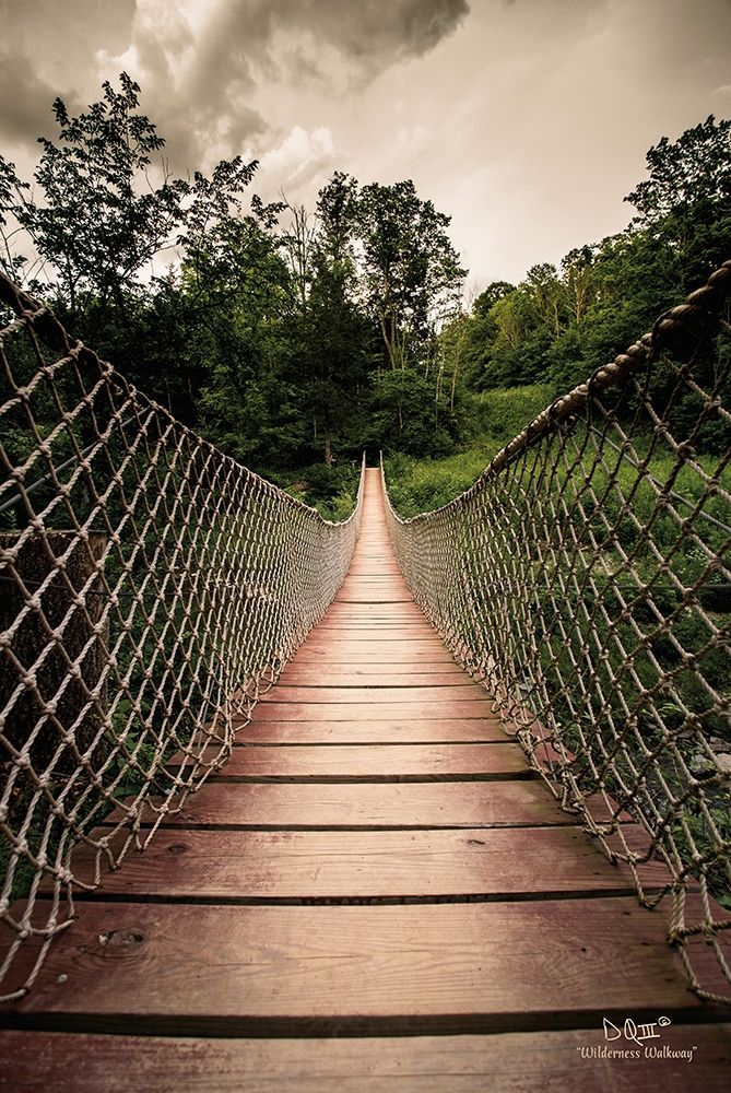 Wilderness Walkway art print by Donnie Quillen for $57.95 CAD