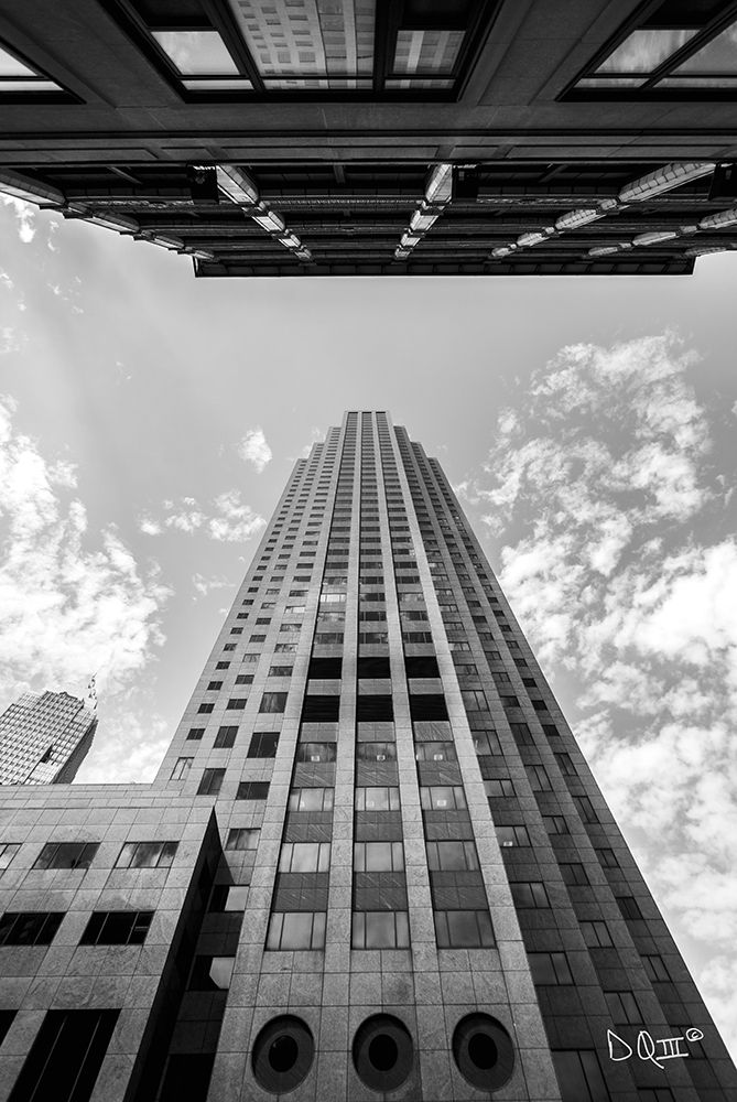 Looking Up art print by Donnie Quillen for $57.95 CAD