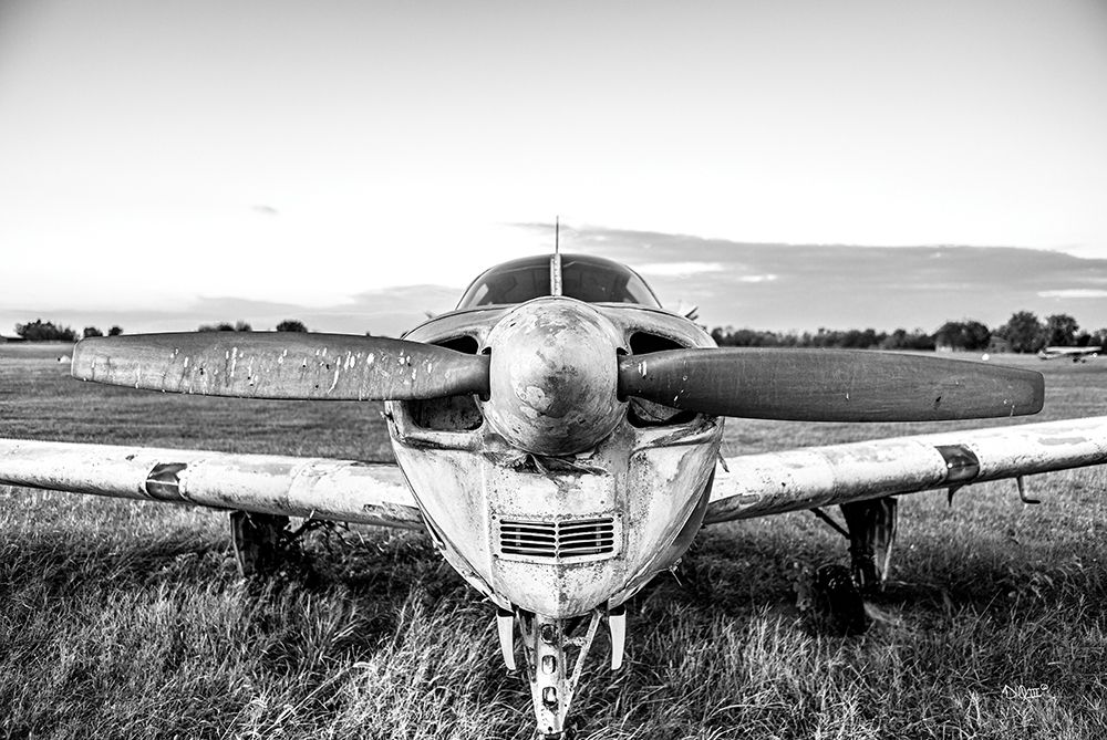 Last Flight II art print by Donnie Quillen for $57.95 CAD
