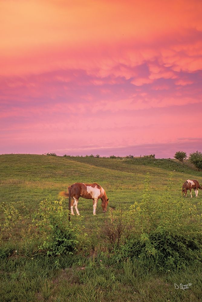 Horse at Sunset art print by Donnie Quillen for $57.95 CAD