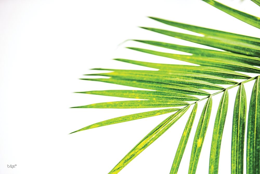 Leaf Study III art print by Donnie Quillen for $57.95 CAD