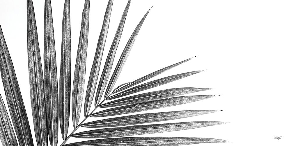 Leaf Study IV art print by Donnie Quillen for $57.95 CAD