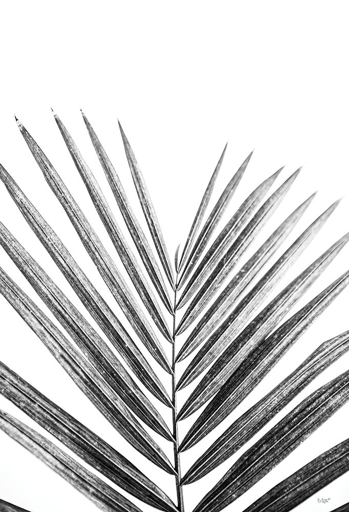 Leaf Study V art print by Donnie Quillen for $57.95 CAD