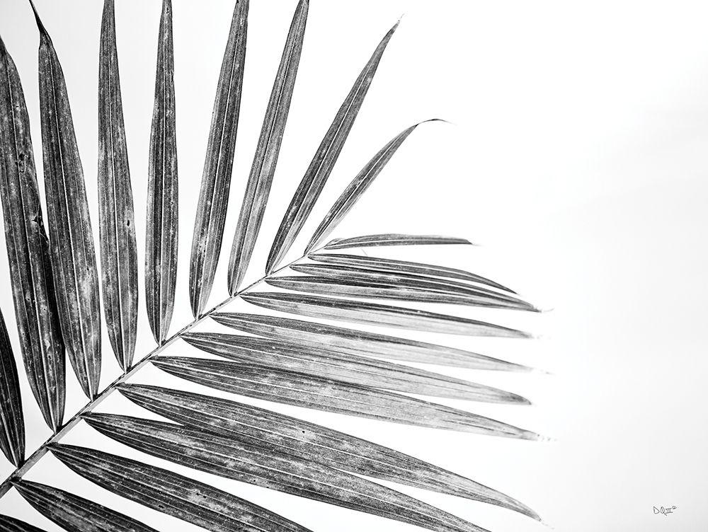 Leaf Study VI art print by Donnie Quillen for $57.95 CAD