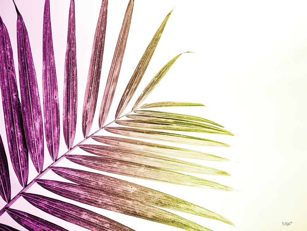 Rainbow Leaf art print by Donnie Quillen for $57.95 CAD