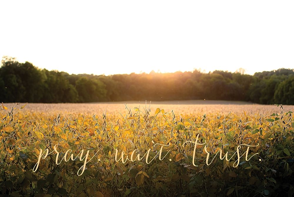 Pray-Wait-Trust art print by Donnie Quillen for $57.95 CAD
