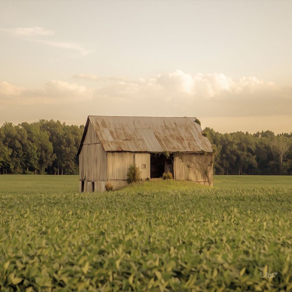 Rural Barn art print by Donnie Quillen for $57.95 CAD