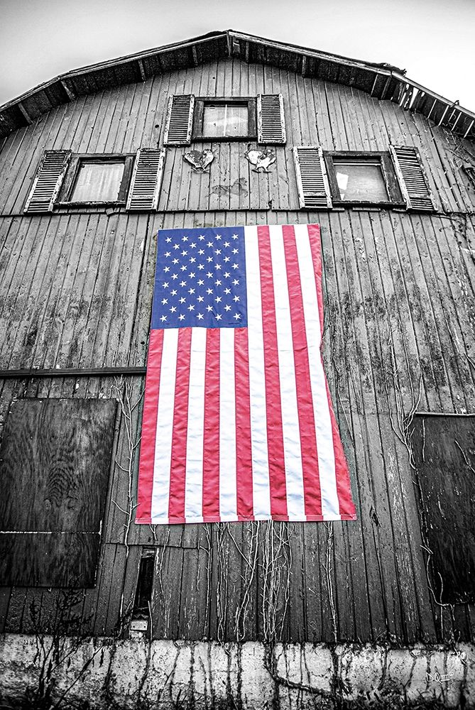 Red-White And Blue art print by Donnie Quillen for $57.95 CAD