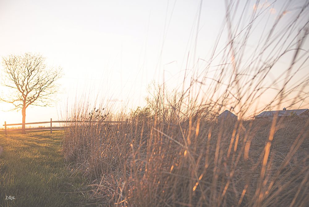 Bright Sun Haze IV art print by Donnie Quillen for $57.95 CAD